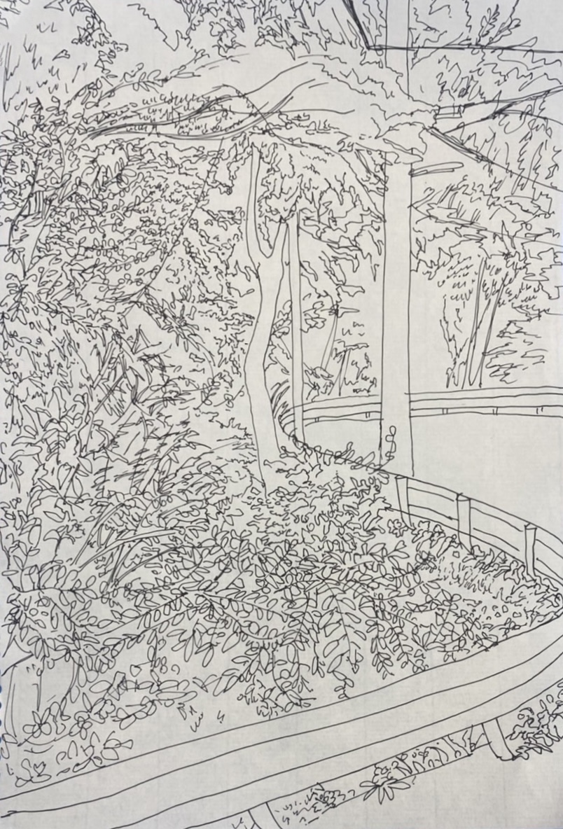 ペン画ドローイング8