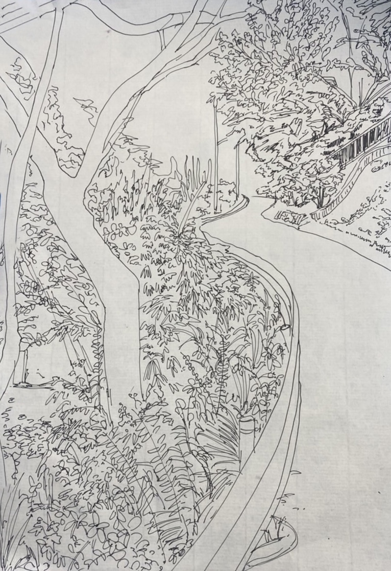 ペン画ドローイング5