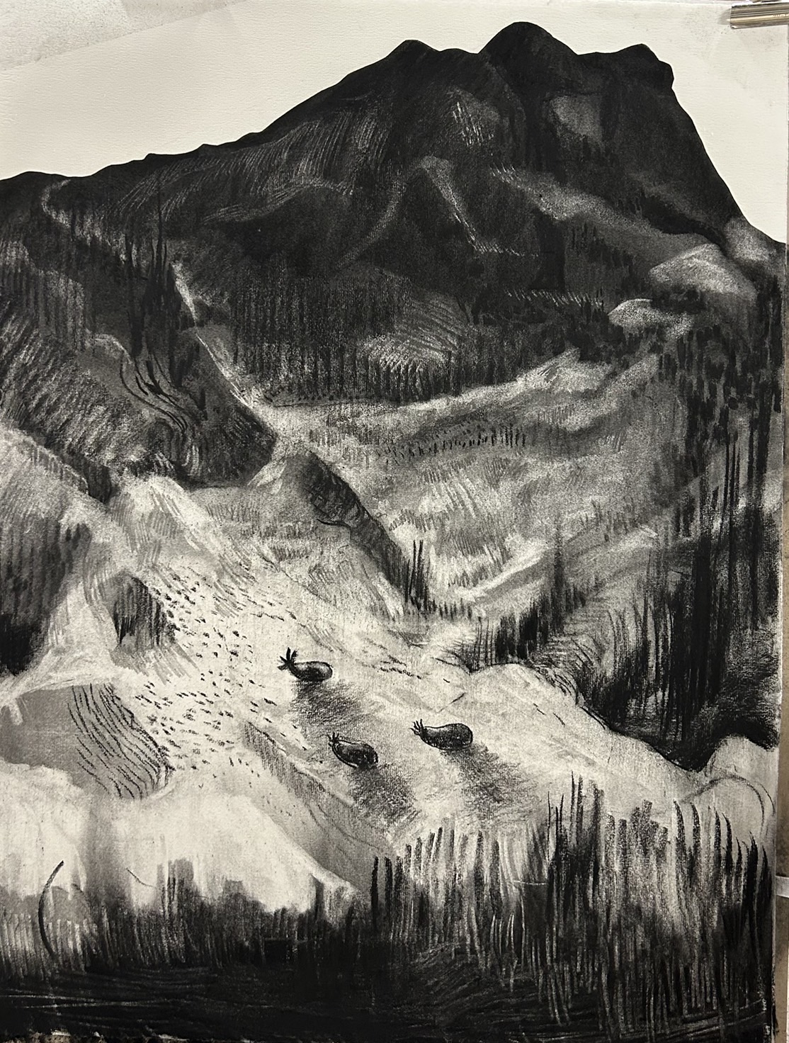 一富士二鷹三茄子(ドローイング)